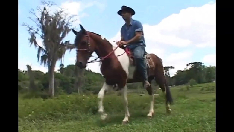 Vintage X: Anal salvaje ...