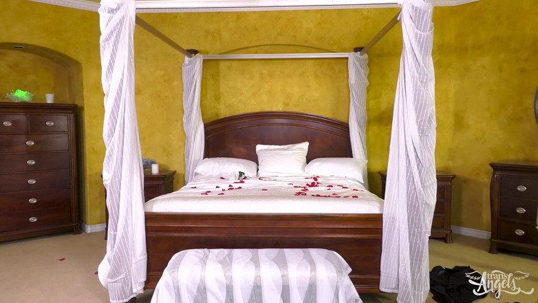 Trans Angels: トランスエンジェルズ - Here cums the Bride - コナー・マグワイア、シャネル・サンティーニ