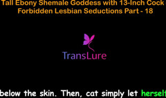 English Audio Sex Story, Tall Ebony Shemale Goddess with Massive Cock - Illicit Lesbian Seductions Part 18 thumbnail