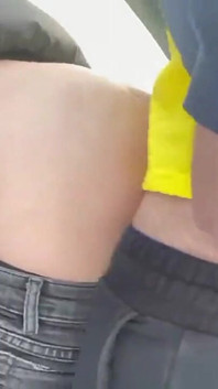 The Niko Laus