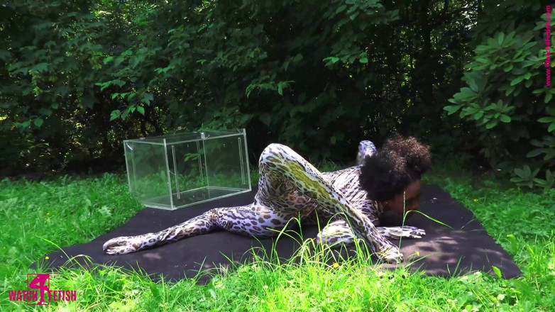 Gymnastic: Surprise dans la boîte de verre