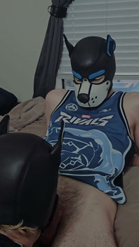 Two Pups, One New Toy From Jocktribe