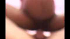 Bizzarre World: Kohout prase