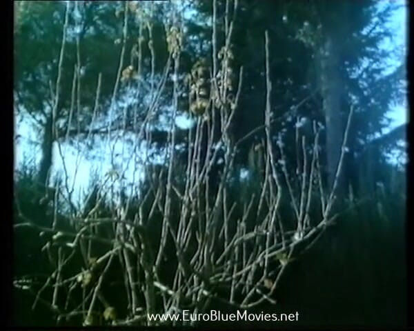 Euro Blue Movies: The College for Forbidden Pleasures - 1987