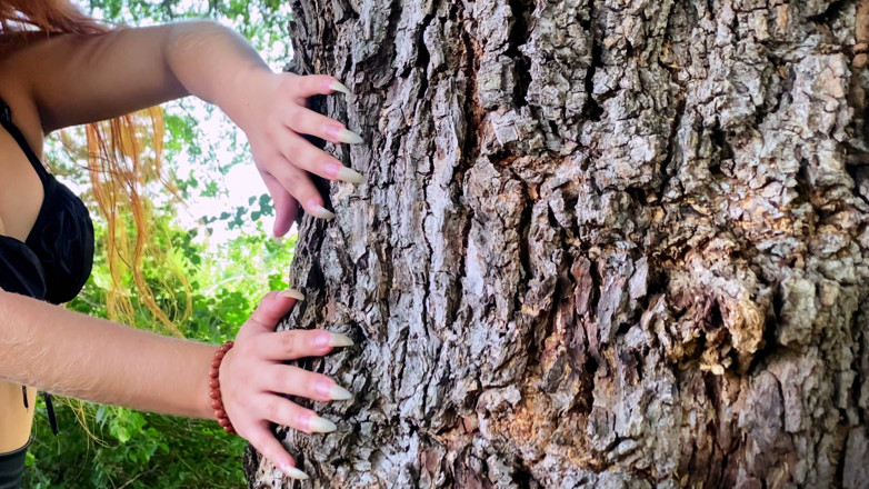 Goddess Li: Dlouhé, přirozené prsty poškrábají strom