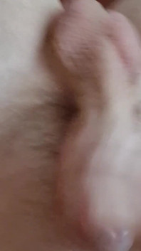 Hot Anal Toy