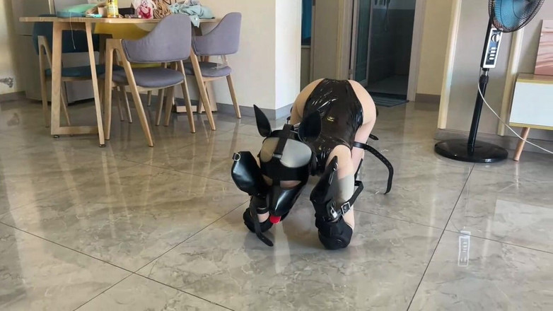 OrangeXXOO: Training and Insulting My Sexy Girlfriend 10