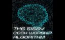 Camp Sissy Boi: Solo audio - el algoritmo mariquita