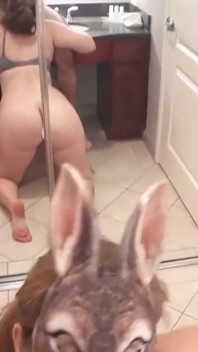 Bunny Blowjob