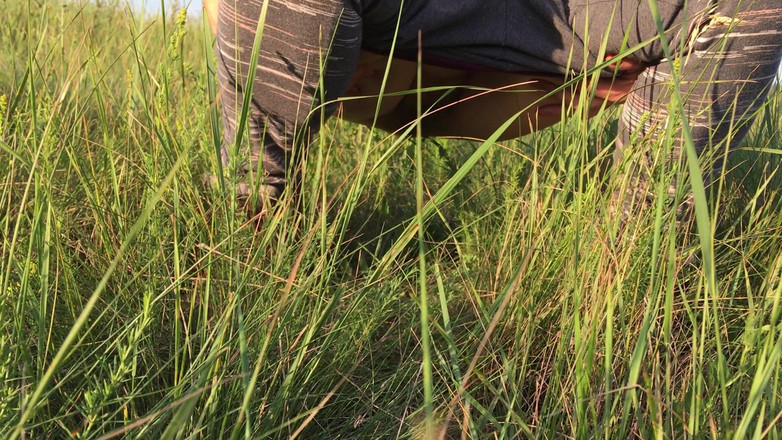 Risky Hairy Couple: Orinar en la hierba en un prado