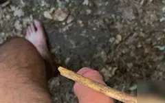 Forest Spanking With Stick
