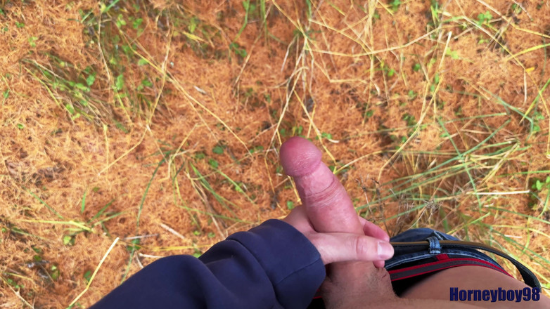 Horneyboy98: Twink Wixt Em Um Dia De Outono Na Floresta E...