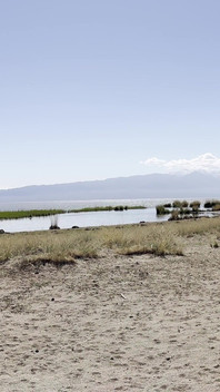 Doğada işeme derlemesi! Araba gezisi! POV!