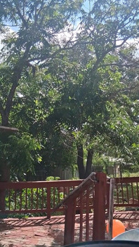 Marea asistentă frumoasă Vicki are o cerere de a arunca în aer un balon uriaș