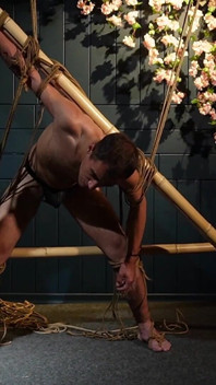 Beautiful Zeus Bound in Jute Shibari Elegance to Powerless Predicament Strain