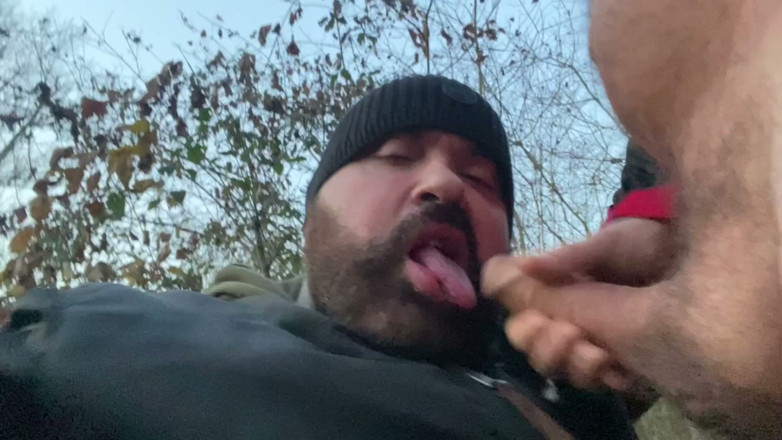 Djemelloxxxx: in einer Kreuzfahrt