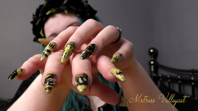 Mxtress Valleycat: Claw worship