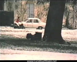 Euro Blue Movies: Penzion – hostinec(1977)