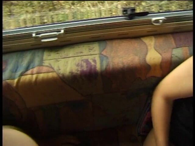 Lucky Cooch: Brunette sluts sharing dick in a van