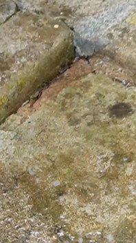 Collection de jeux de pisse sexy 1 en 2025
