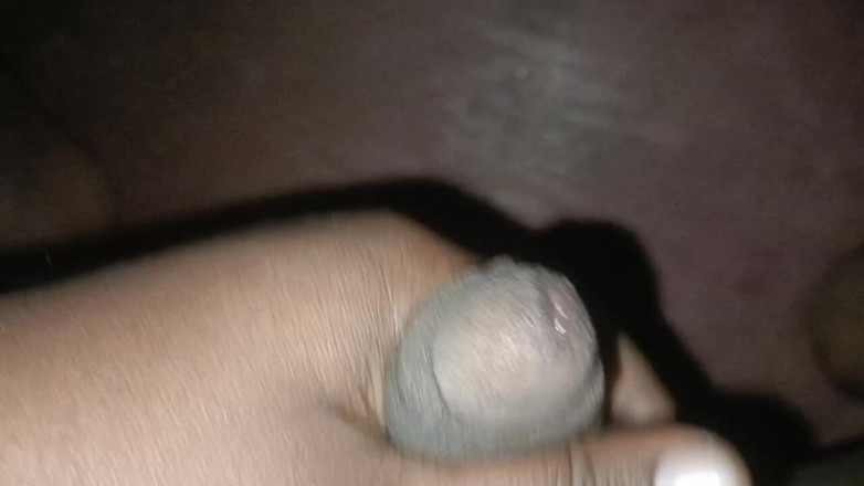 LegalVector8: Indická sexy