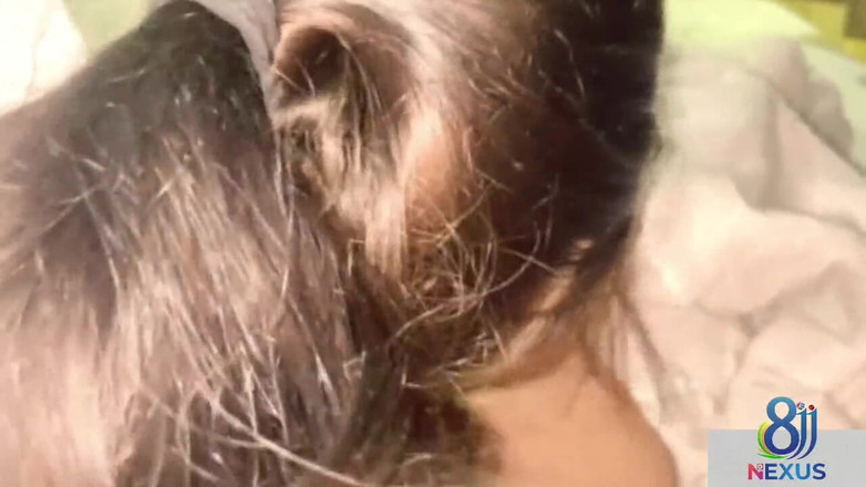 Desigirl0000: Desi Boy Friend and Girl Friend Sex Video