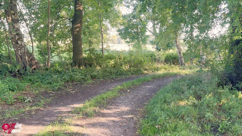 Miley Weasel: Fuck... of Course This Happens to Me Again! Strange Guy...