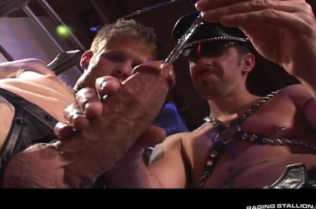 Raging Stallion: O Eixo