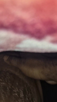 My Husband Left Me in the Middle of the Night and Put His Penis in My Vagina