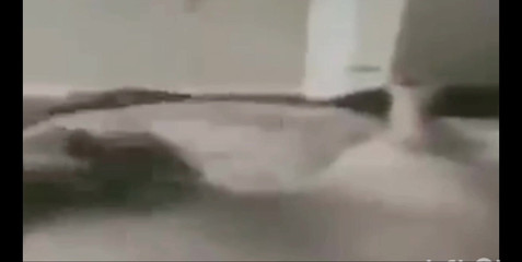 RoyToyBoi: Sega Kinda Day