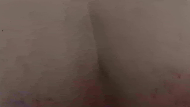 JennaJoy83: Всього потроху
