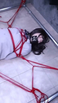 La charmante petite amie est attachée par des gants, un collier et un bâillon