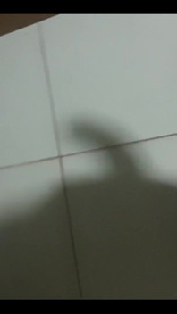 Bayangan kontol
