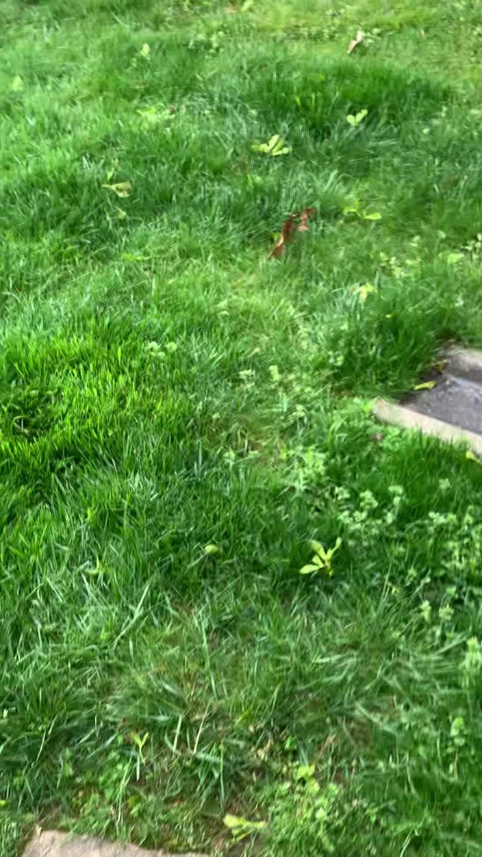 Jaycee starr: Přistižena při masturbaci přítelem