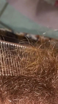 Đánh răng bụi rậm của tôi