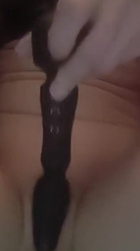 Cette chatte a toujours envie de jouer