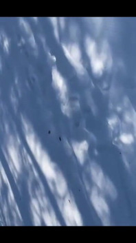 Pissing During a Nordic Ski Session