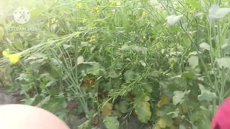Kavita69: Desi Village Bhabhi fucked przez Devar w Outdoor