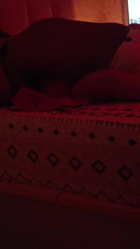 Happy Diwali with Bhabhi Part 5