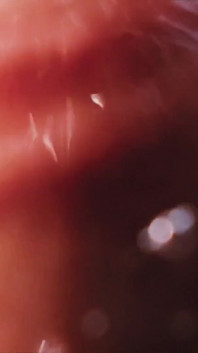 You Love When My Tranny Cock Slaps Your Face
