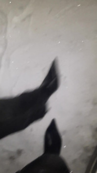 Pointy Boots in Snow