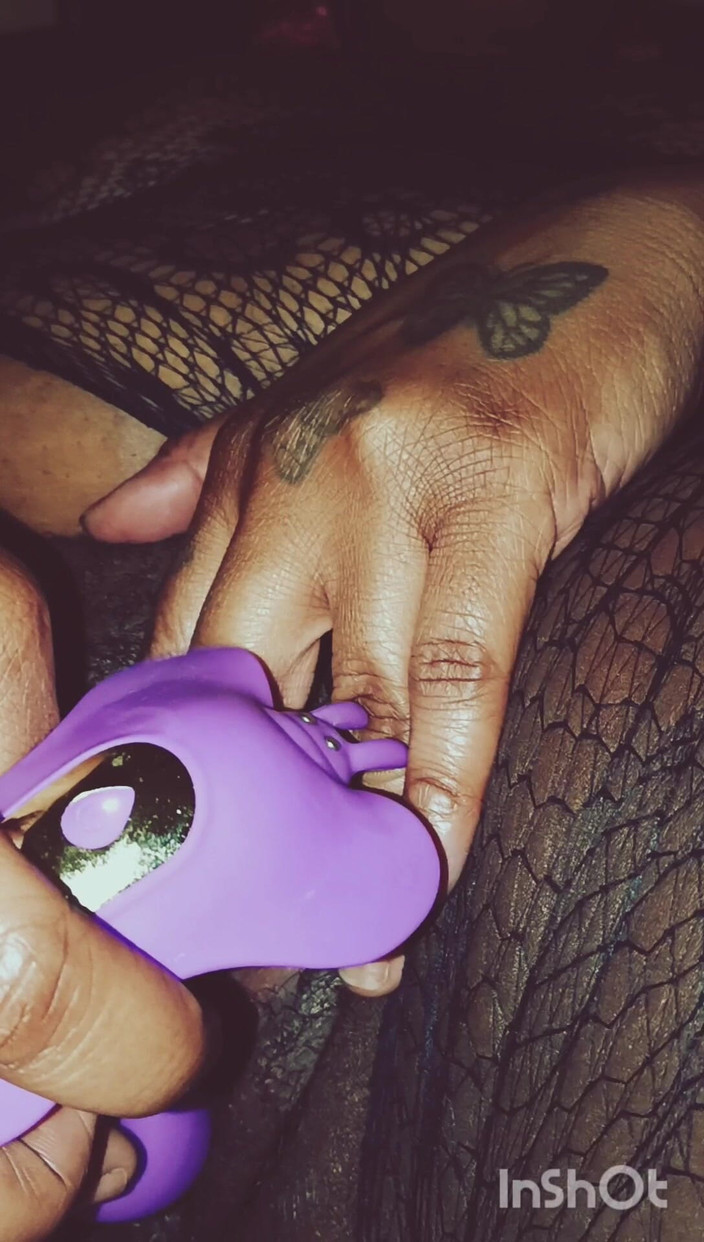 Lola Tha Pink Bunny: Lola e la rosa viola!!