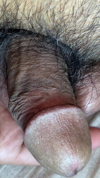 Um papai gay descobriu que seu novo baterista também é gay e queria fazer sexo com ele