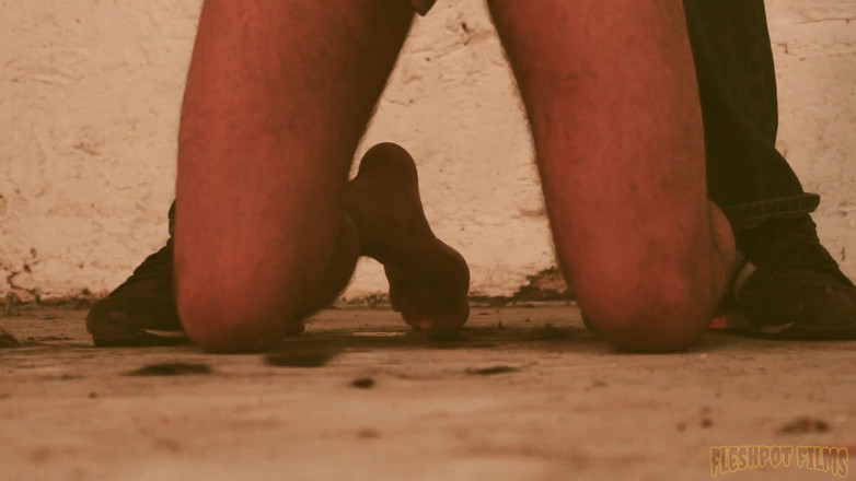 Fleshpot films: 我的猪肉玩伴