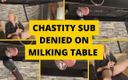 Mistress BJQueen: Chastity Sub zaprzeczyła na stole dojenia