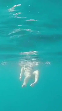 Underwater Love