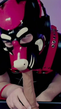 Goodboy Teases Playful Pup