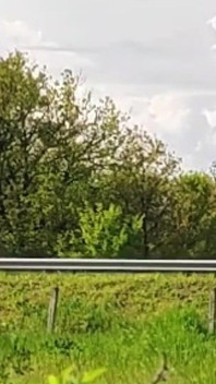 奴隶tih今天在高速公路上为他的粉丝裸体走