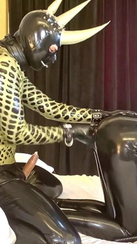 Golden Master - Alex Latex