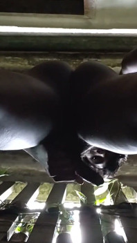 Jerking, Cumming and Playing with My Body